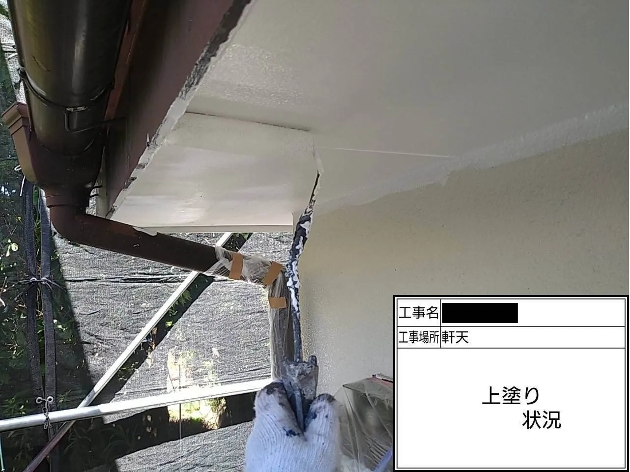 軒天/上塗り状況